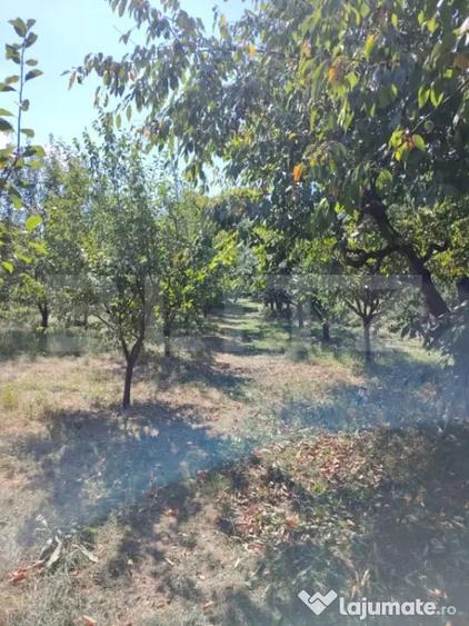 Casă cu 3 camere cu Teren 3900 Mp în Luna