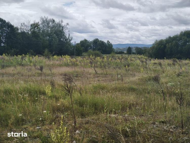 Teren intravilan 4594mp, deschidere 66ml, Galanesti, Radauti - 1