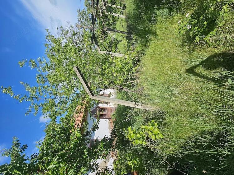 Casă cu 3 camere cu Teren 10000 Mp în Castranova