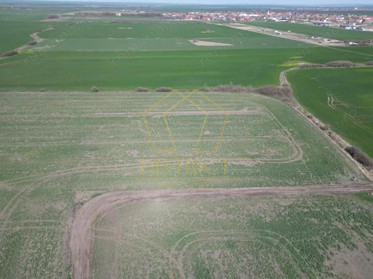 Teren de 14000 mp, în Covaci
