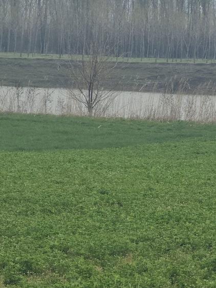 Spațiu comercial, în Dichiseni