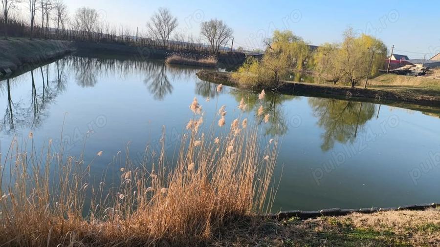 Casă cu Teren 15136 Mp în Central