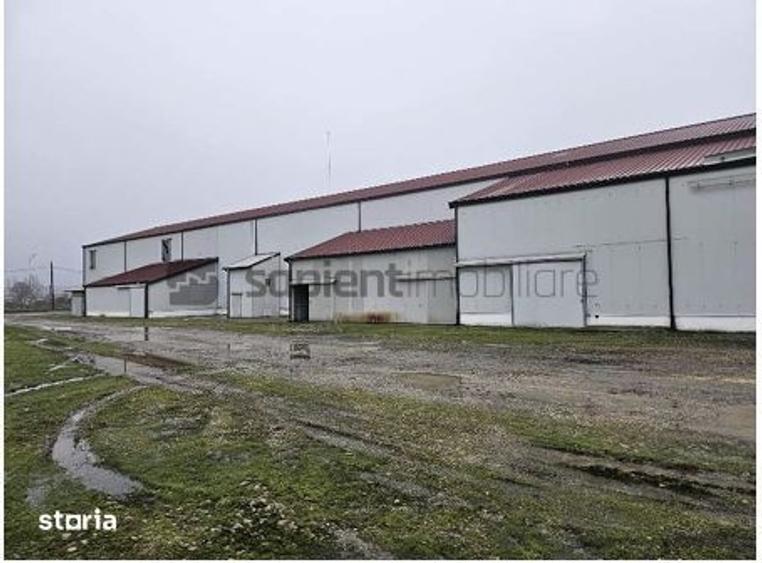 Spațiu comercial, de 4,162 mp, în Tinca