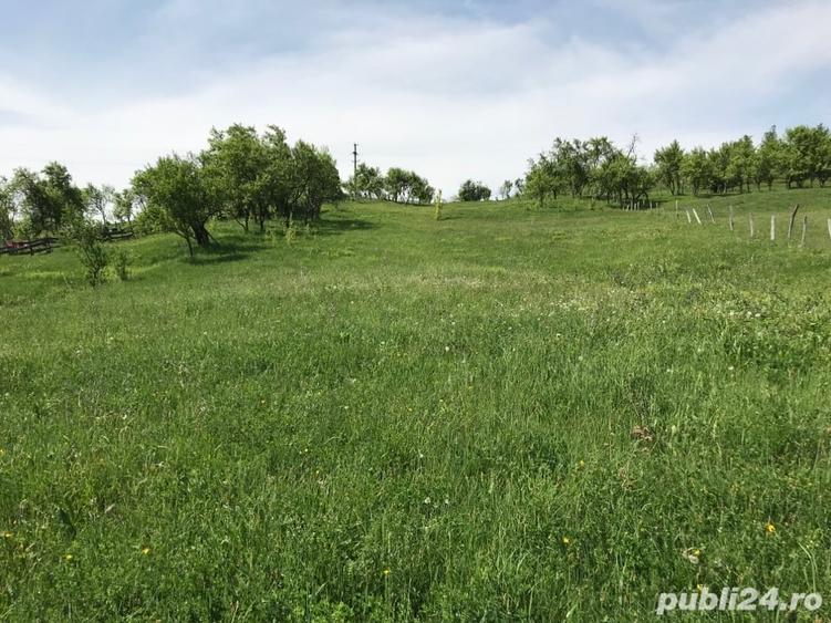 Teren de vanzare Com Berislavesti, Valcea - 3