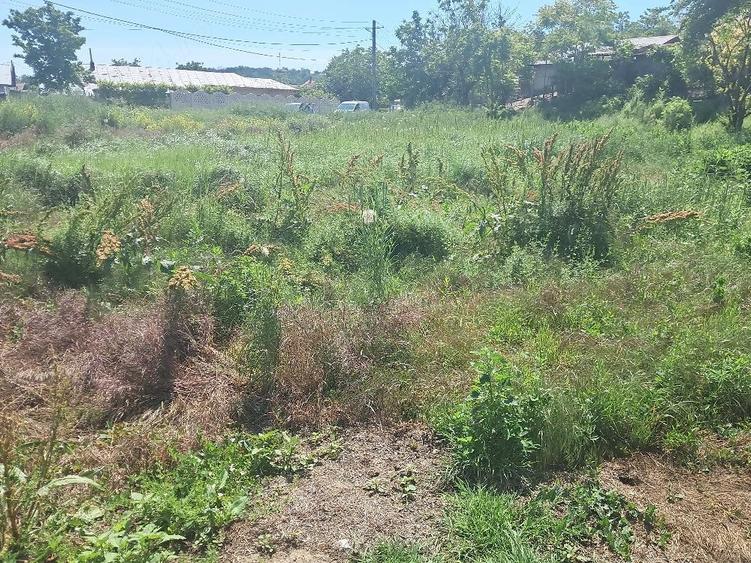 Casă cu 3 camere cu Teren 2000 Mp în Hotarele