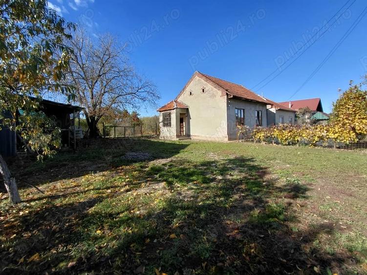 Casă cu 3 camere în Zăgujeni
