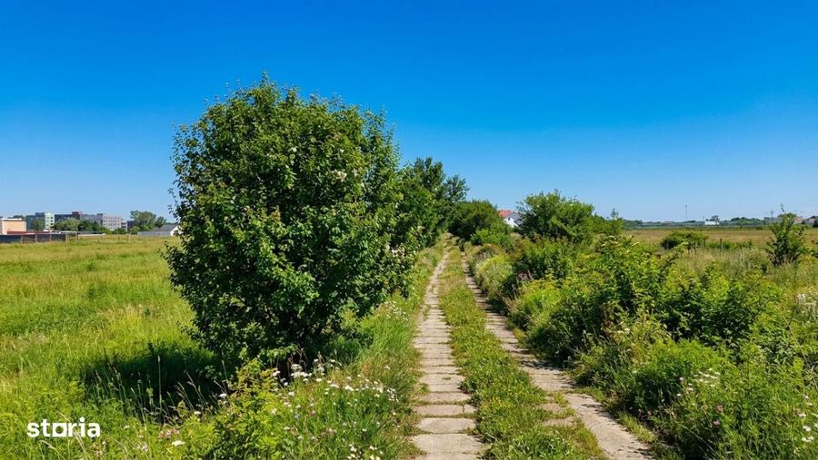 Teren de 3900 mp, în Clinceni