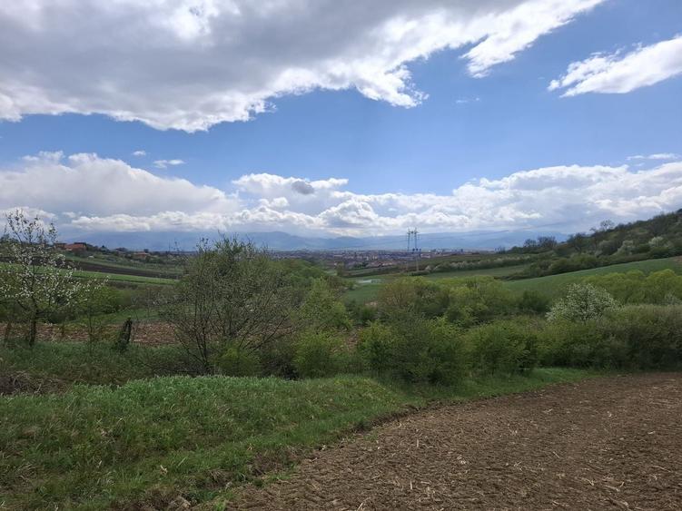 Teren agricol extravilan de 18175 mp, în Gușterița