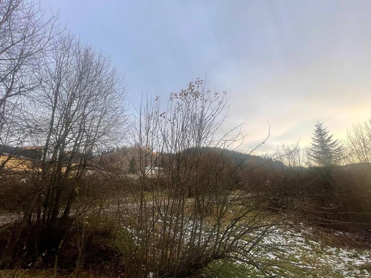 Teren Construcții intravilan de 22600 mp, în Sucevița