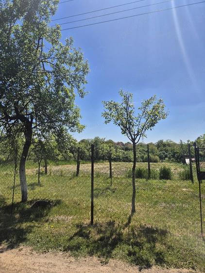 Teren de 1635 mp, în Seceani