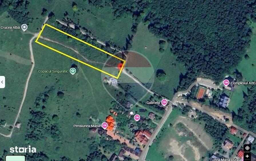 Teren de 7785 mp, în Ceahlău