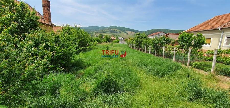 Teren Construcții intravilan de 765 mp, în Micești