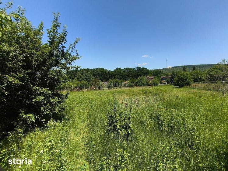 Casă cu 1 camere cu Teren 726 Mp în Bârnova