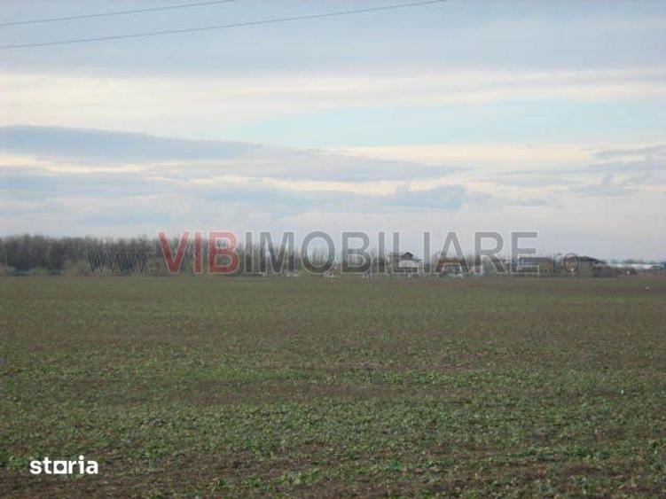 Teren de 61830 mp, în Belciugatele