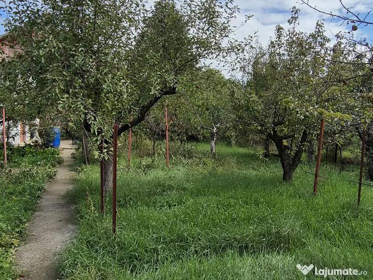 Casă cu 3 camere în Mânăstirea