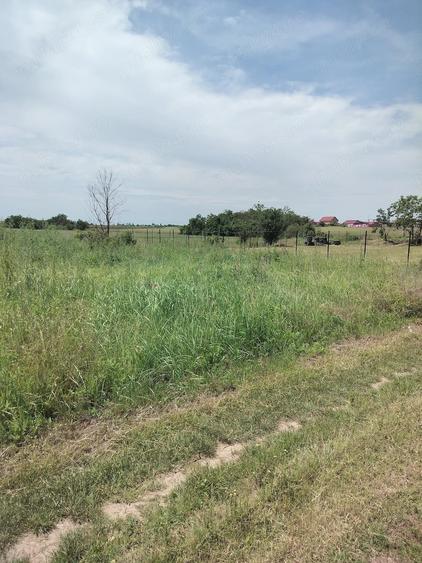 Teren de 500 mp, în Berceni
