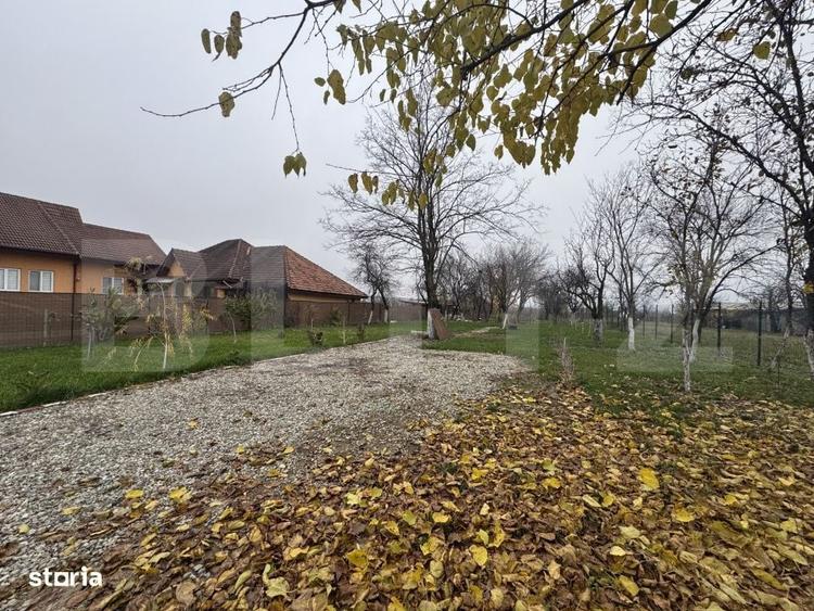 Spațiu comercial, în Preajba Mare