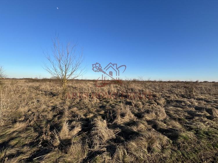 Teren agricol extravilan de 5000 mp, în Moșnița Veche