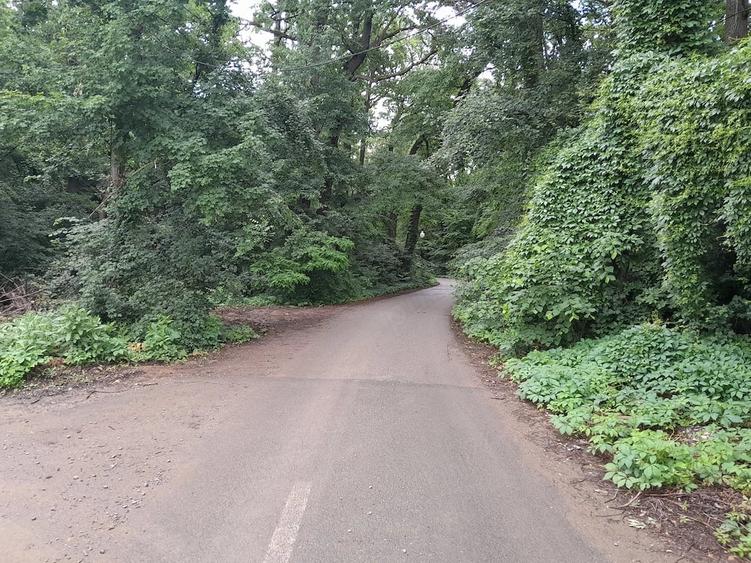 Teren intravilan de vanzare, Snagov, Ilfov - 2