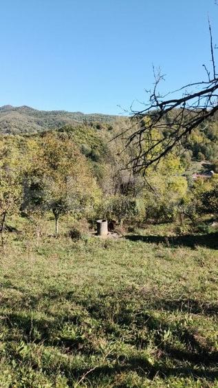 Teren cu priveliște superba , livadă și potențial căsuțe de vacanță - 6