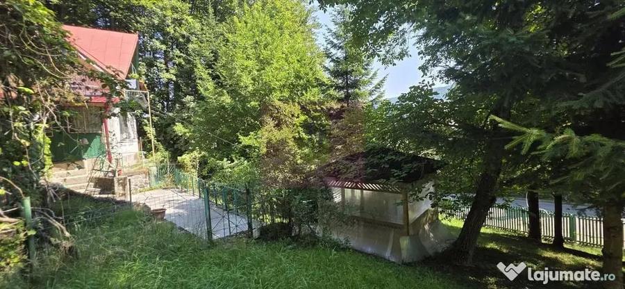 Teren în Furnica