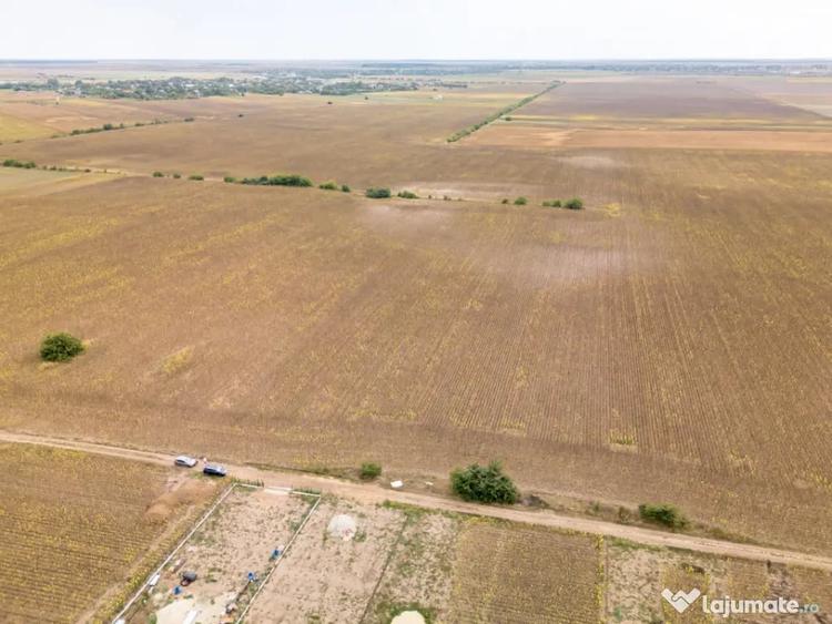 DASCALU TEREN INTRAVILAN 11300 MP, INVESTITIE! - Dascalu (Bucuresti-Ilfov) - 4