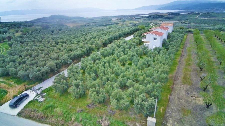 Casă individuală cu 9 camere cu Canalizare în Braytim