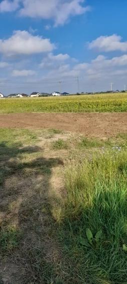 Teren Construcții intravilan de 500 mp, în Tărtășești