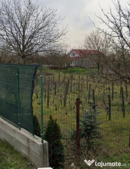 Teren de 2250 mp, în Malu Mare