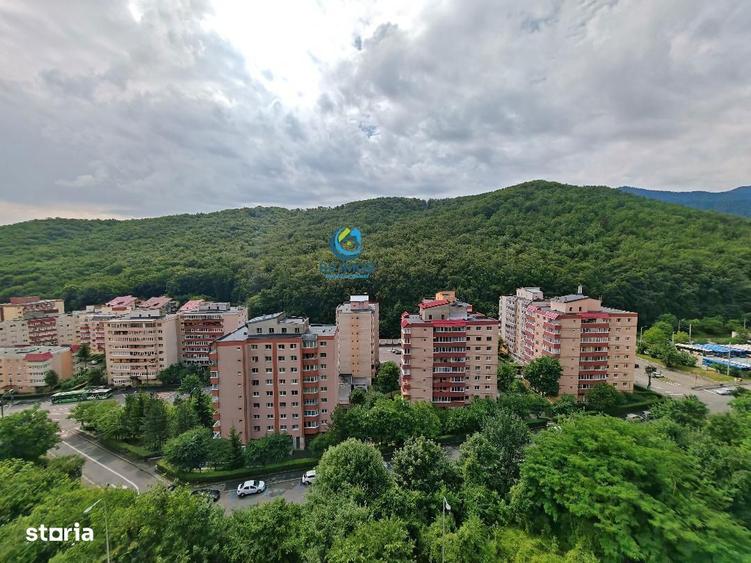 Apartament cu 2 camere, mobilat în Valea Cetății
