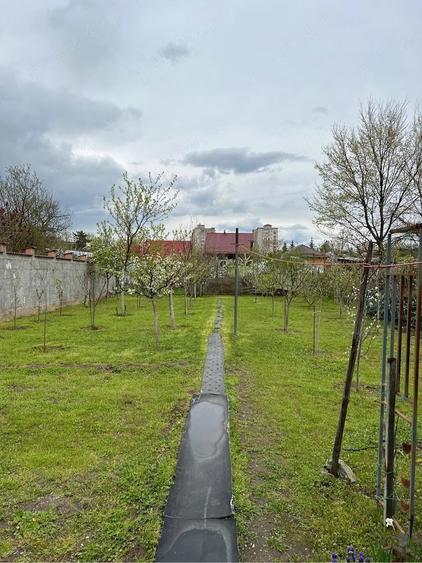 Casă cu Teren 810 Mp în Central