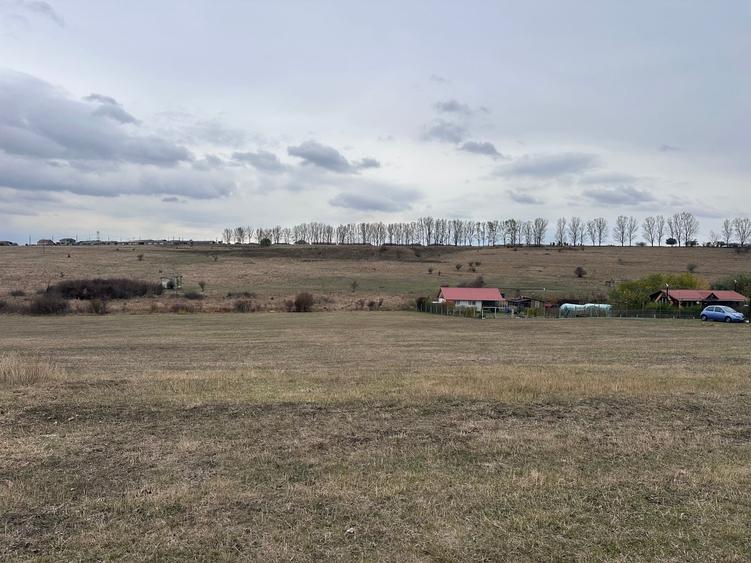 Teren Construcții intravilan de 3700 mp, în Daia