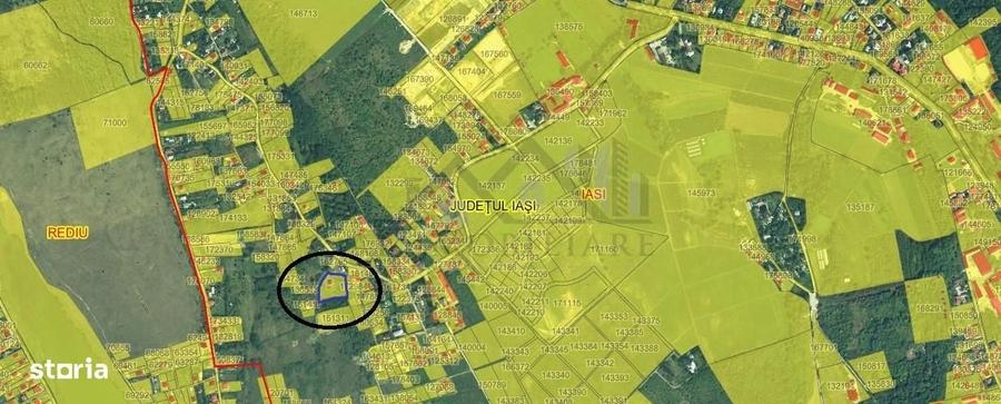 Viticultori Copou teren 4000mp (6loturi)cu Puz realizat - 2