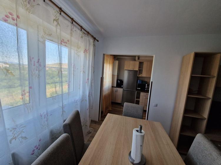 Apartament cu 2 camere semidecomandat, mobilat în Florești