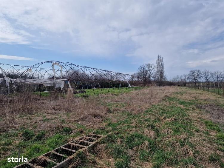 Casă cu 2 camere cu Teren 1114 Mp în Borș