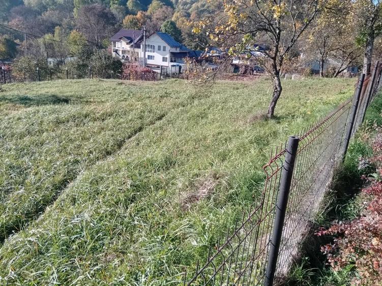 Teren de 1028 mp, în Băcești