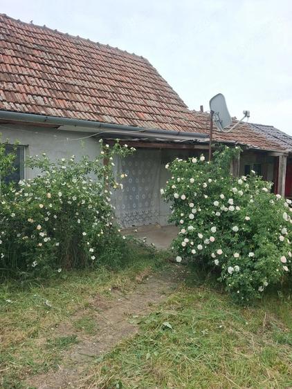 Casă cu 2 camere cu Teren 1090 Mp în Central