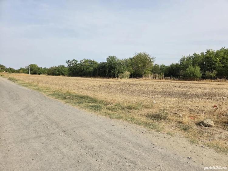 Teren de 2000 mp, în Cuza Vodă