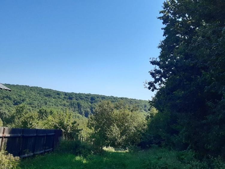 Teren agricol extravilan de 4400 mp, în Păun