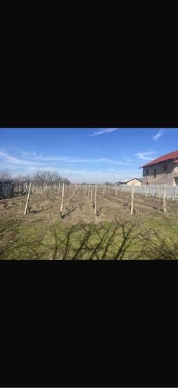 Spațiu comercial, în Dumbrăveni
