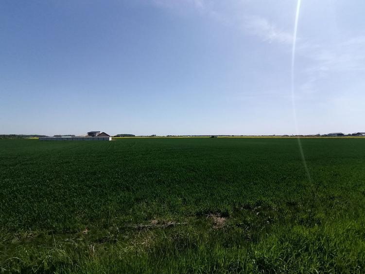 Teren agricol intravilan de 9313 mp, în 1 Decembrie