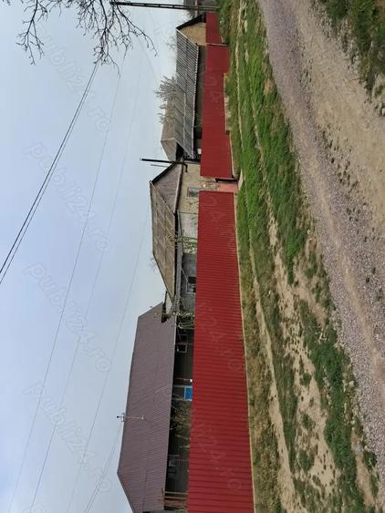 Casă cu 5 camere cu Teren 4000 Mp în Valea Nucarilor