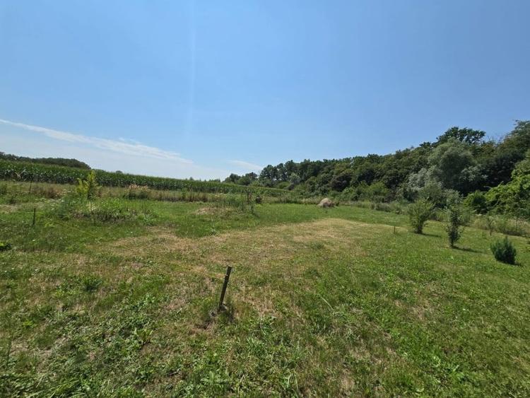 Teren extravilan de 720 mp, în Țegheș