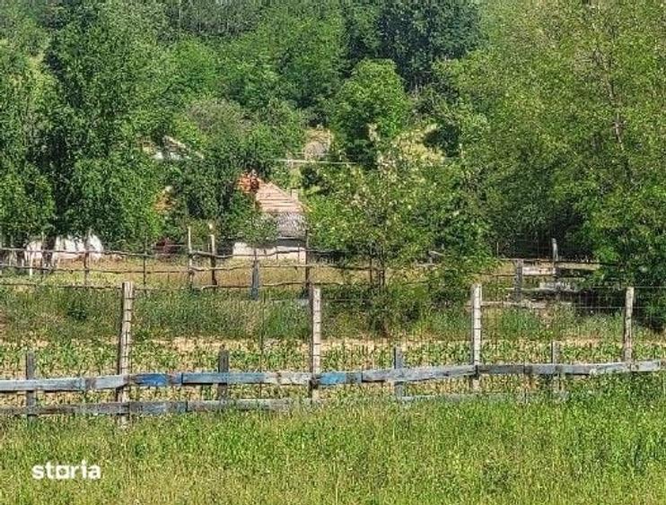 Teren de 1743 mp, în Tisău