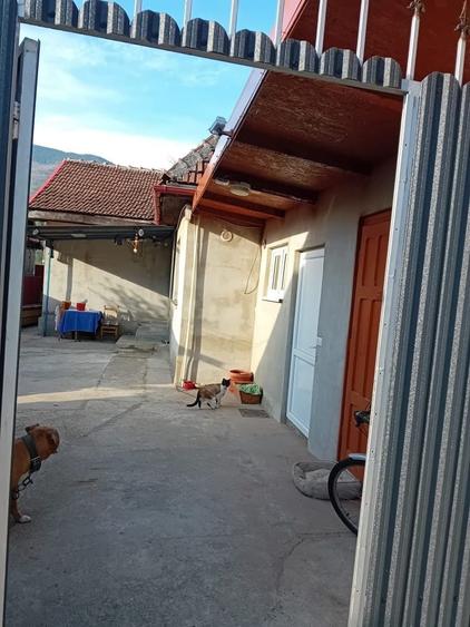 Casă cu 2 camere în Iscroni