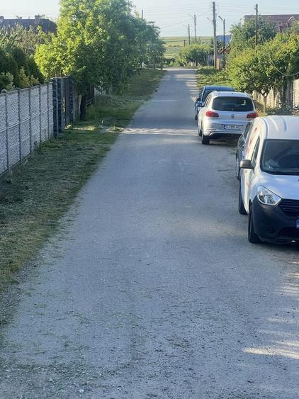 Teren intravilan Pielesti - 6