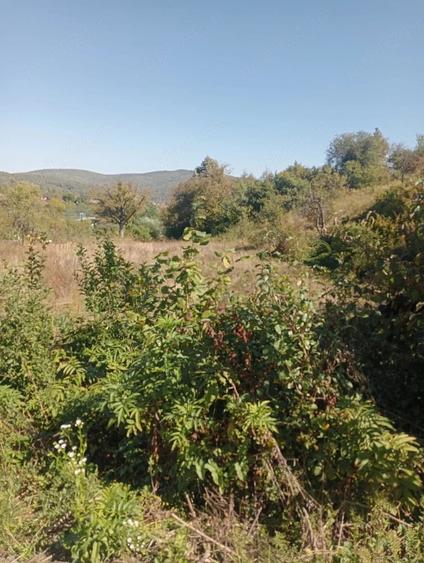 Teren de 500 mp, în Moigrad-Porolissum