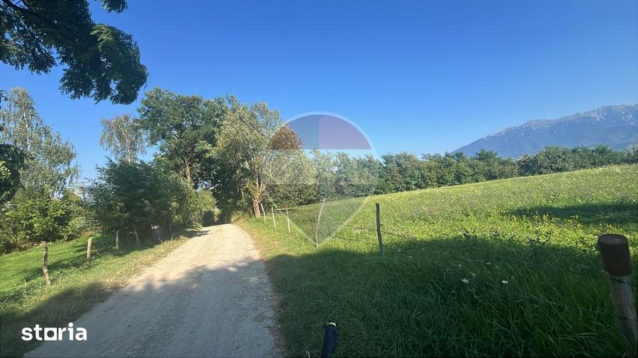 Teren 3,000mp Predelut / Strada Pe Tarina - 3