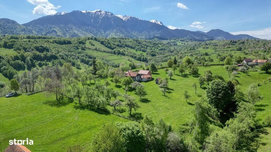 Spațiu comercial, în Bran