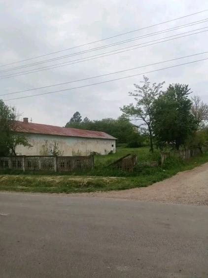 Teren de 700 mp, în Băcălești